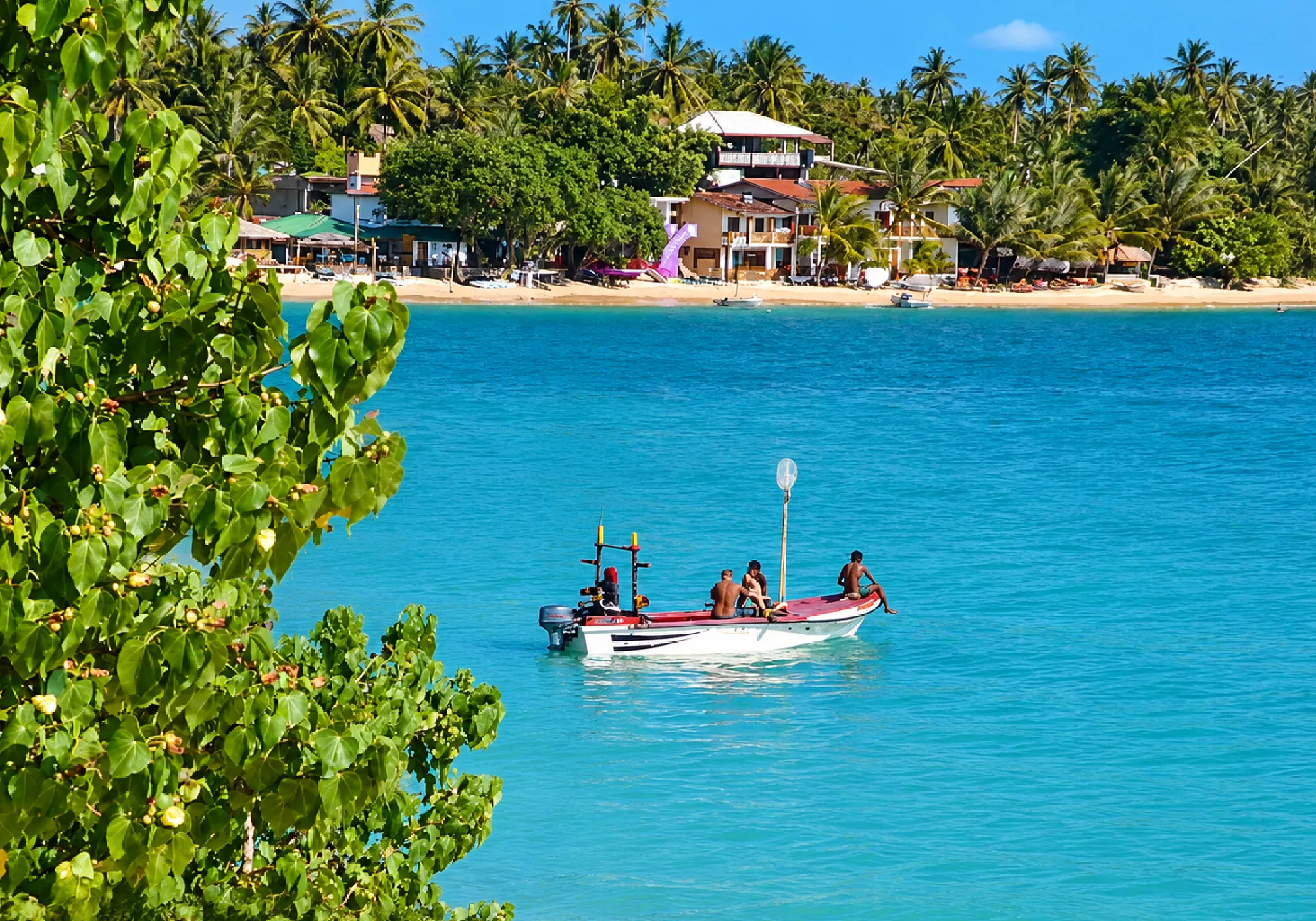 Affordable honeymoon trip to Sri Lanka for couples with romantic beaches and scenic destinations