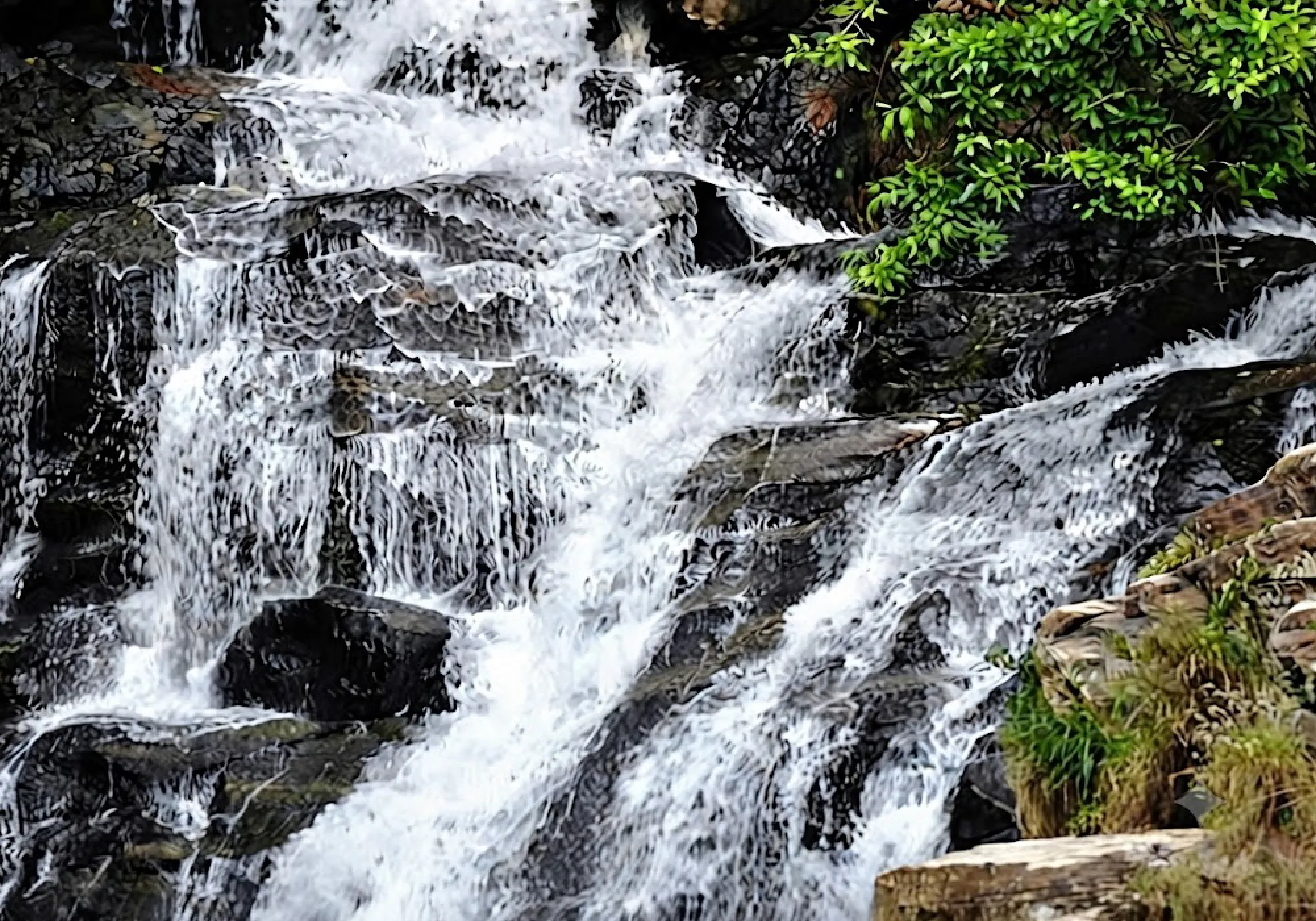 Waterfall flowing over rocky steps surrounded by lush green foliage in Sri Lanka.