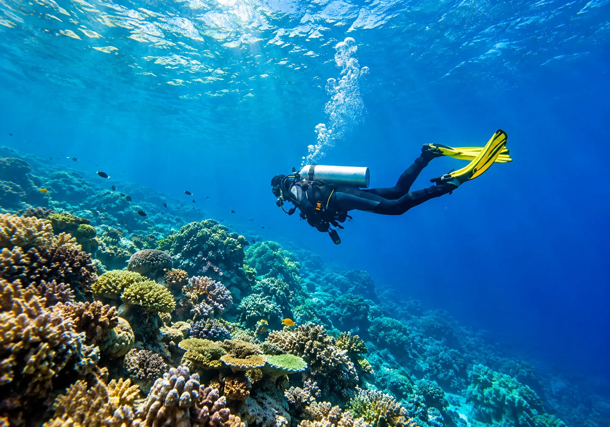 Scuba diver exploring a vibrant coral reef underwater with yellow fins, rising bubbles, and clear blue ocean water.